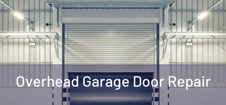  Overhead Garage Door Repair 